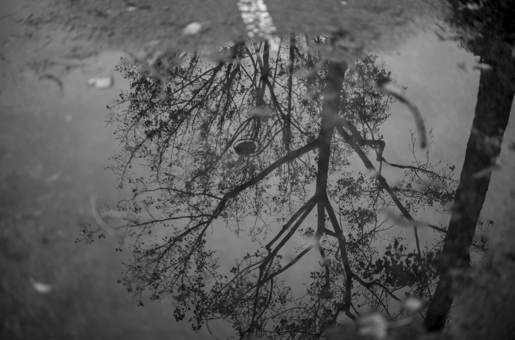 Floating reflection, Paris 2023