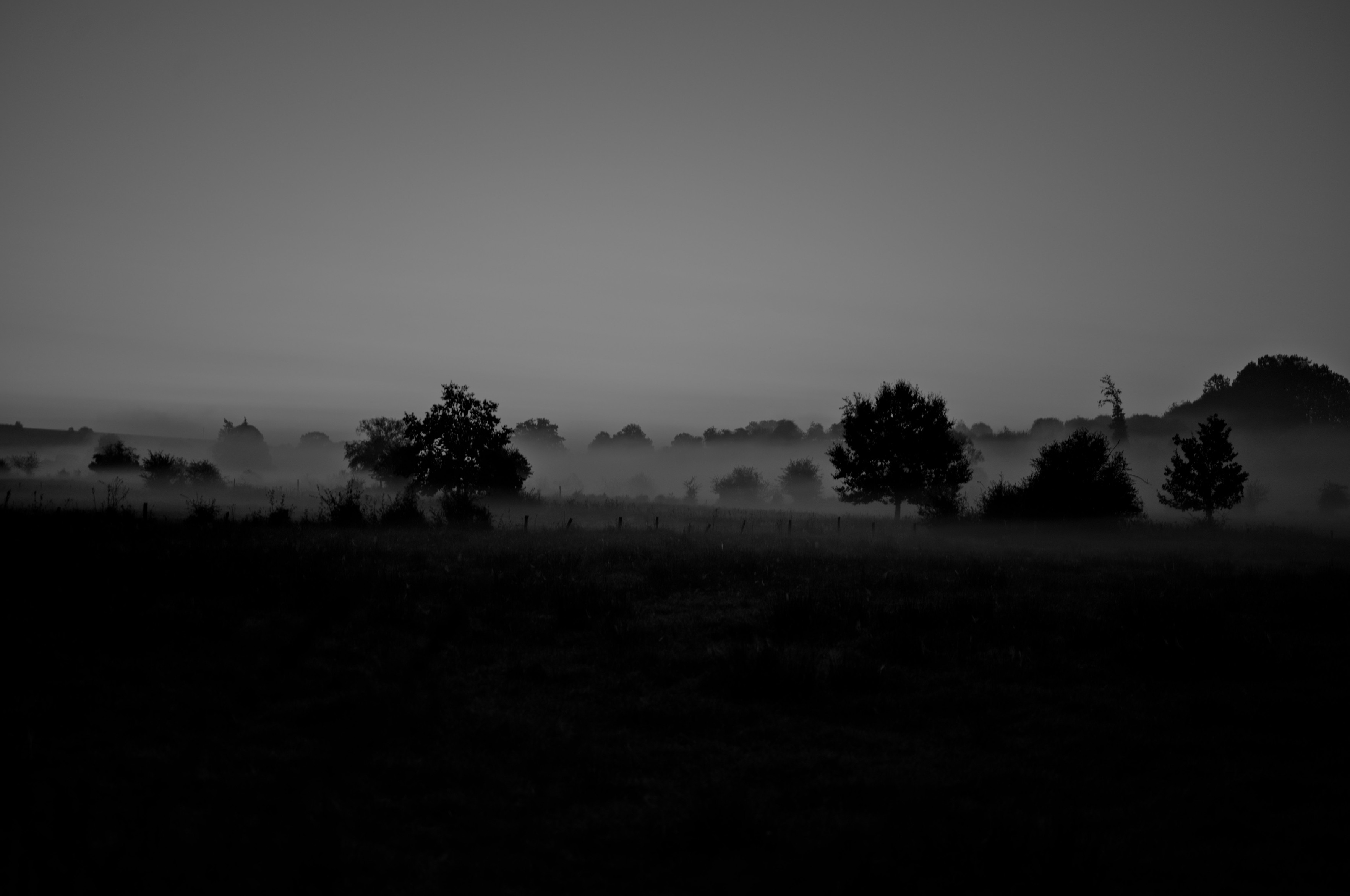 morning memories, Les Bulles, Belgium 2024