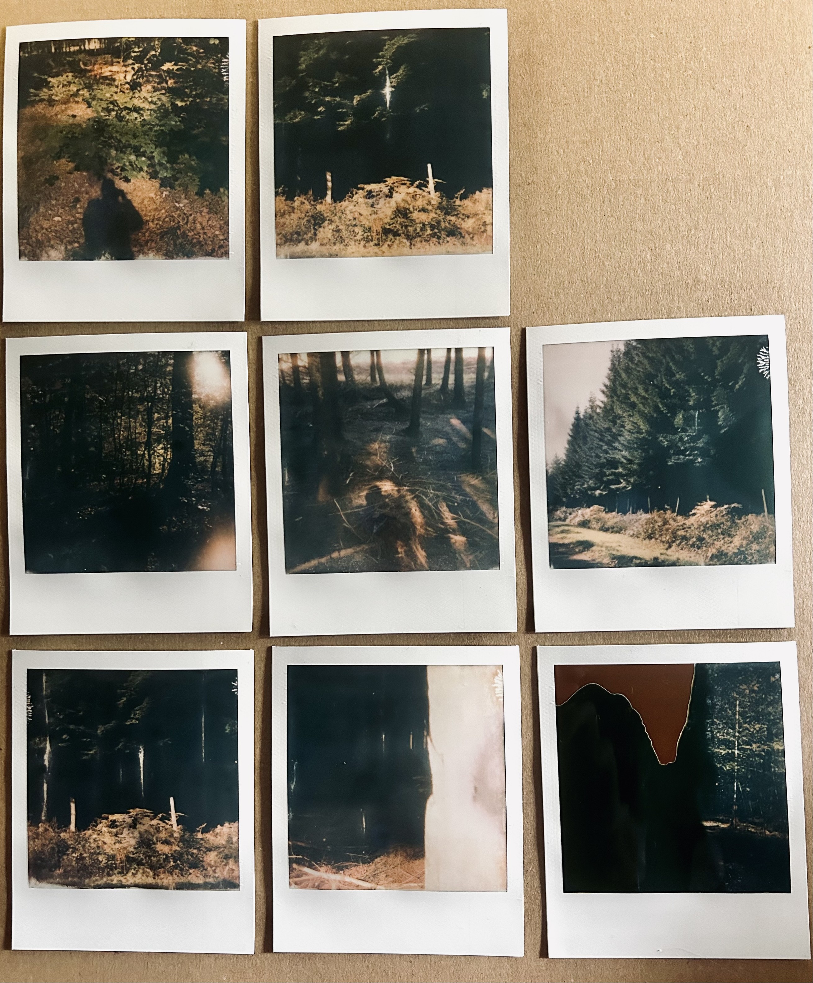 A set of PolaroidNow and Color i-Film from automne. 