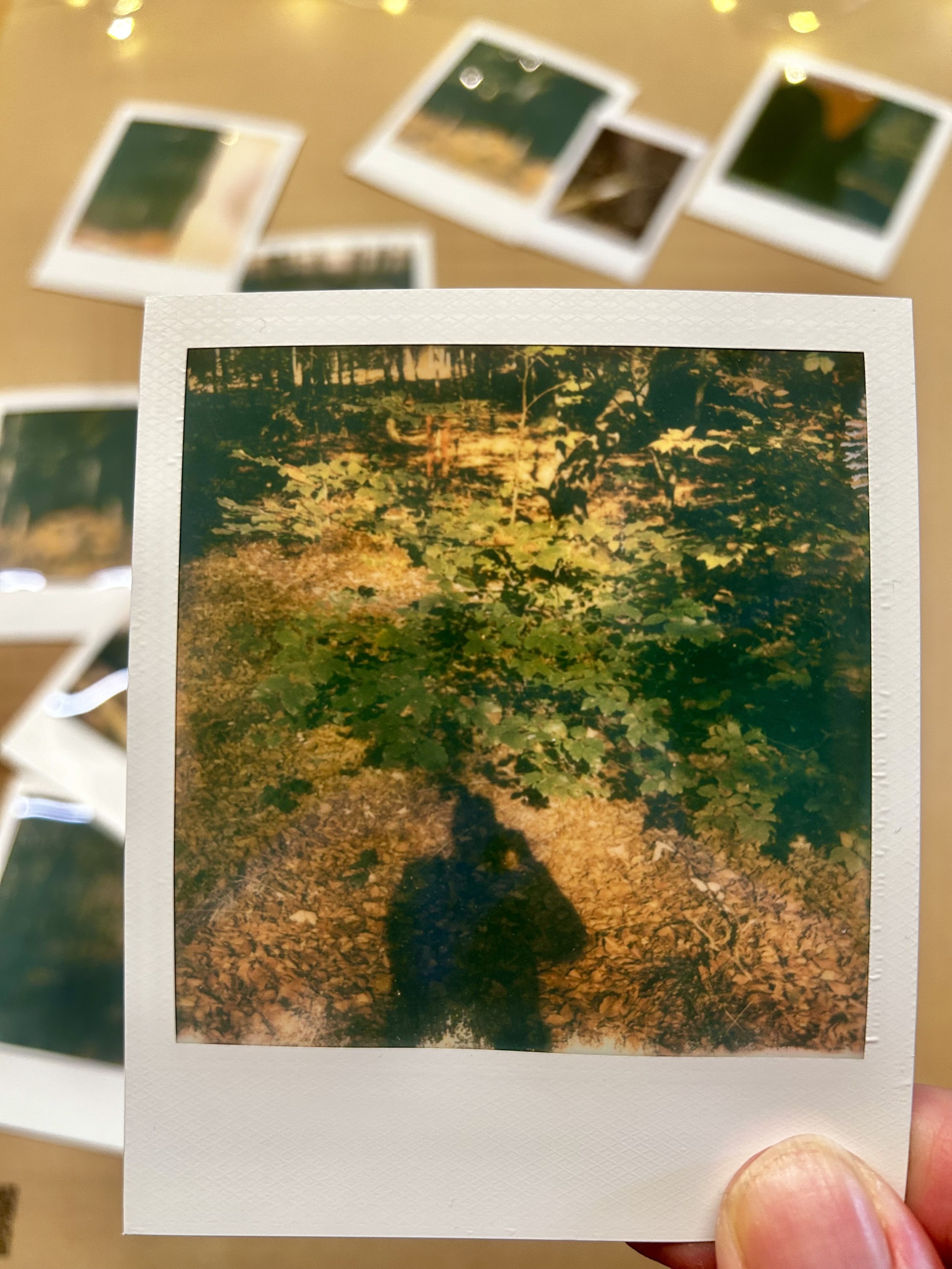 PolaroidNow and Color i-Film