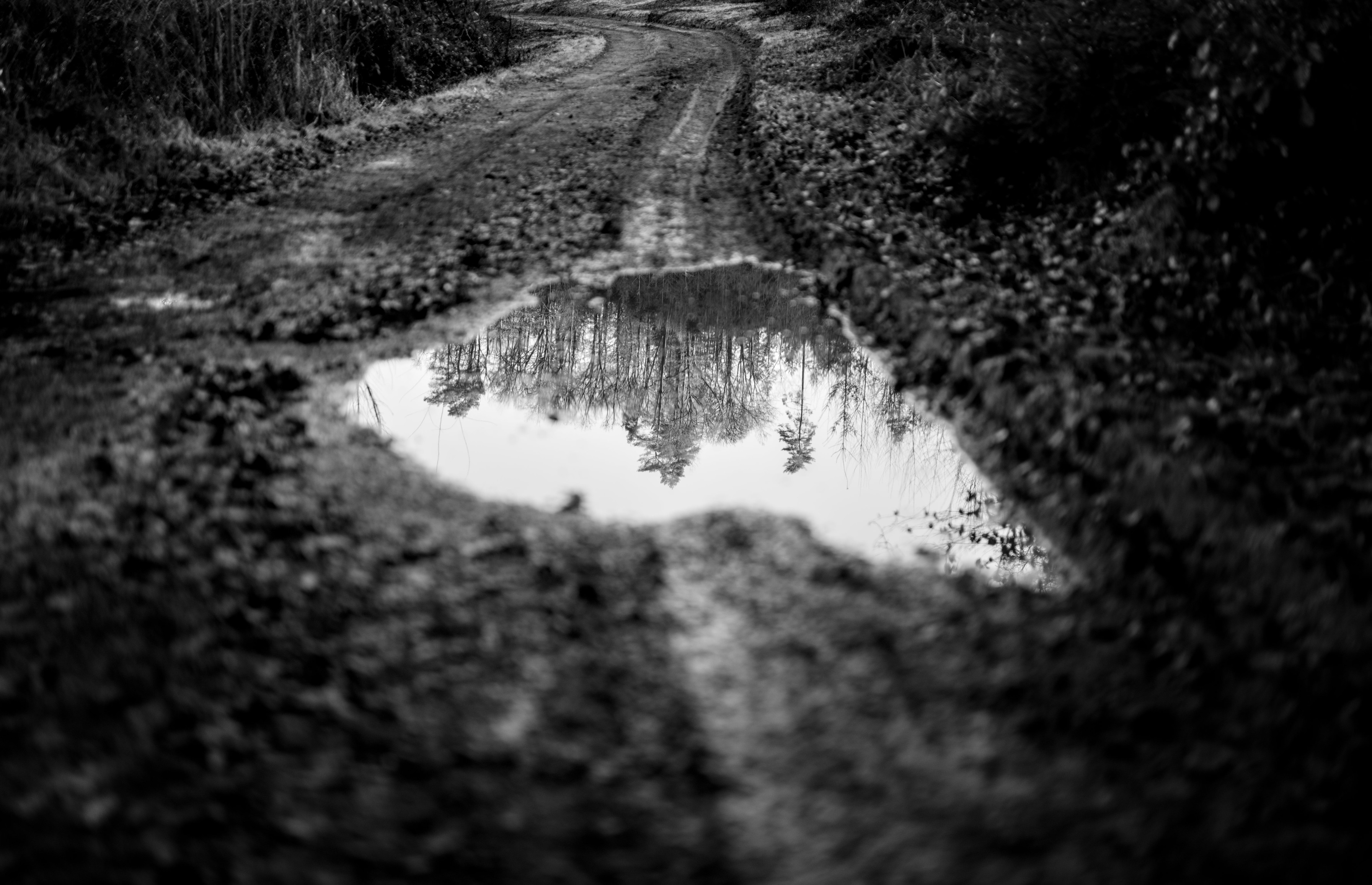 black path, Belgium 2024