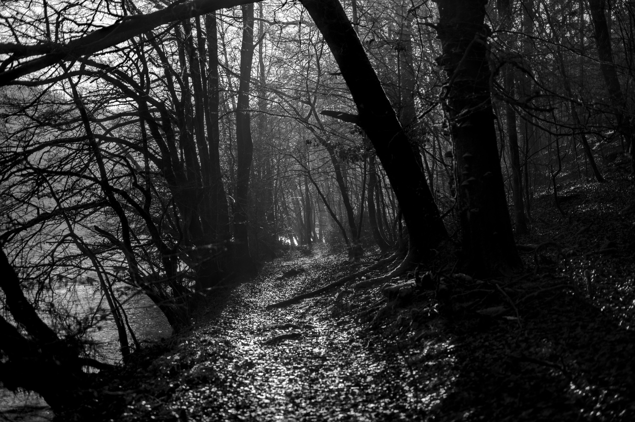 a path to a new world, Belgium 2025
