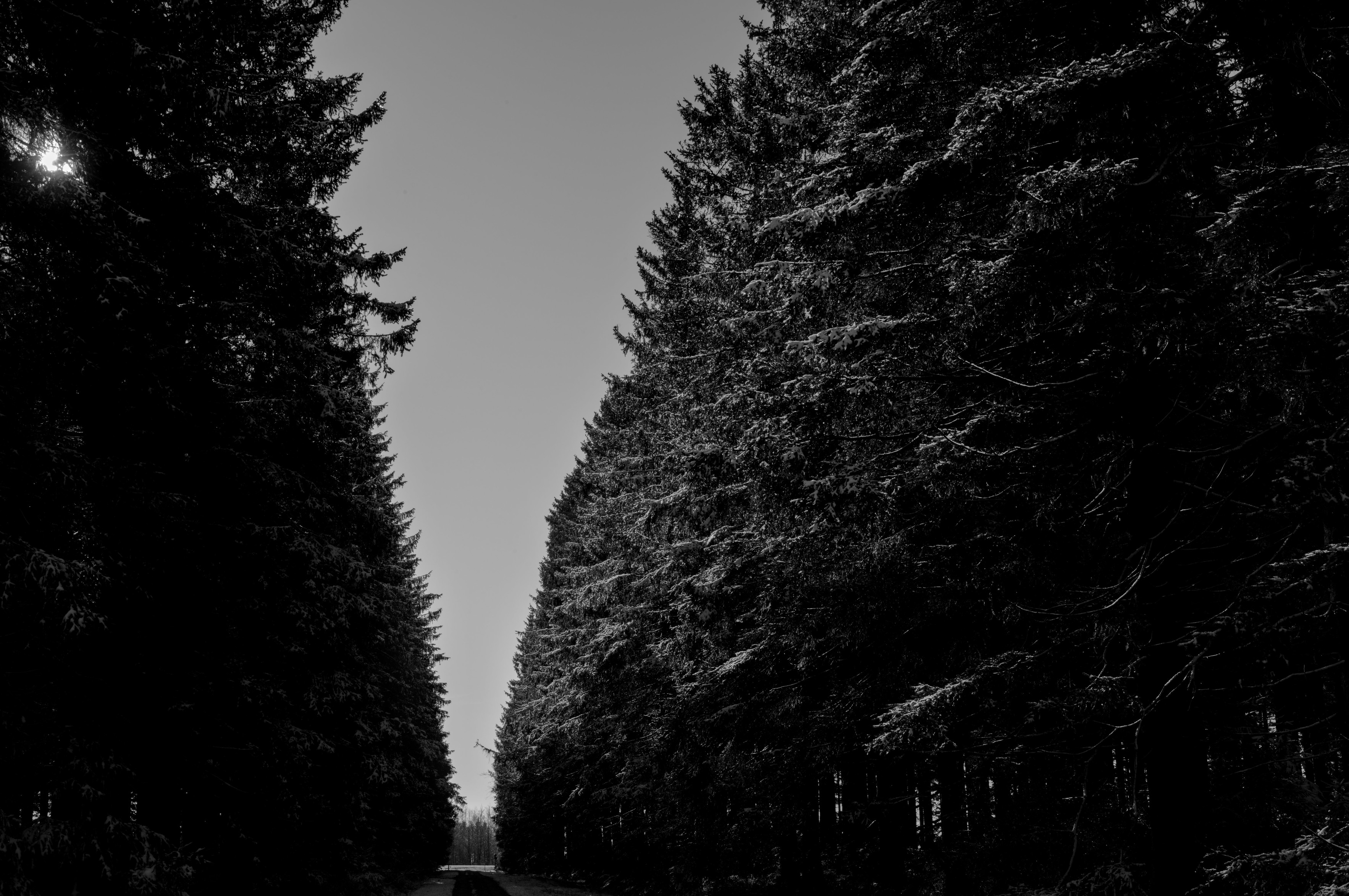 one path, Belgium 2025