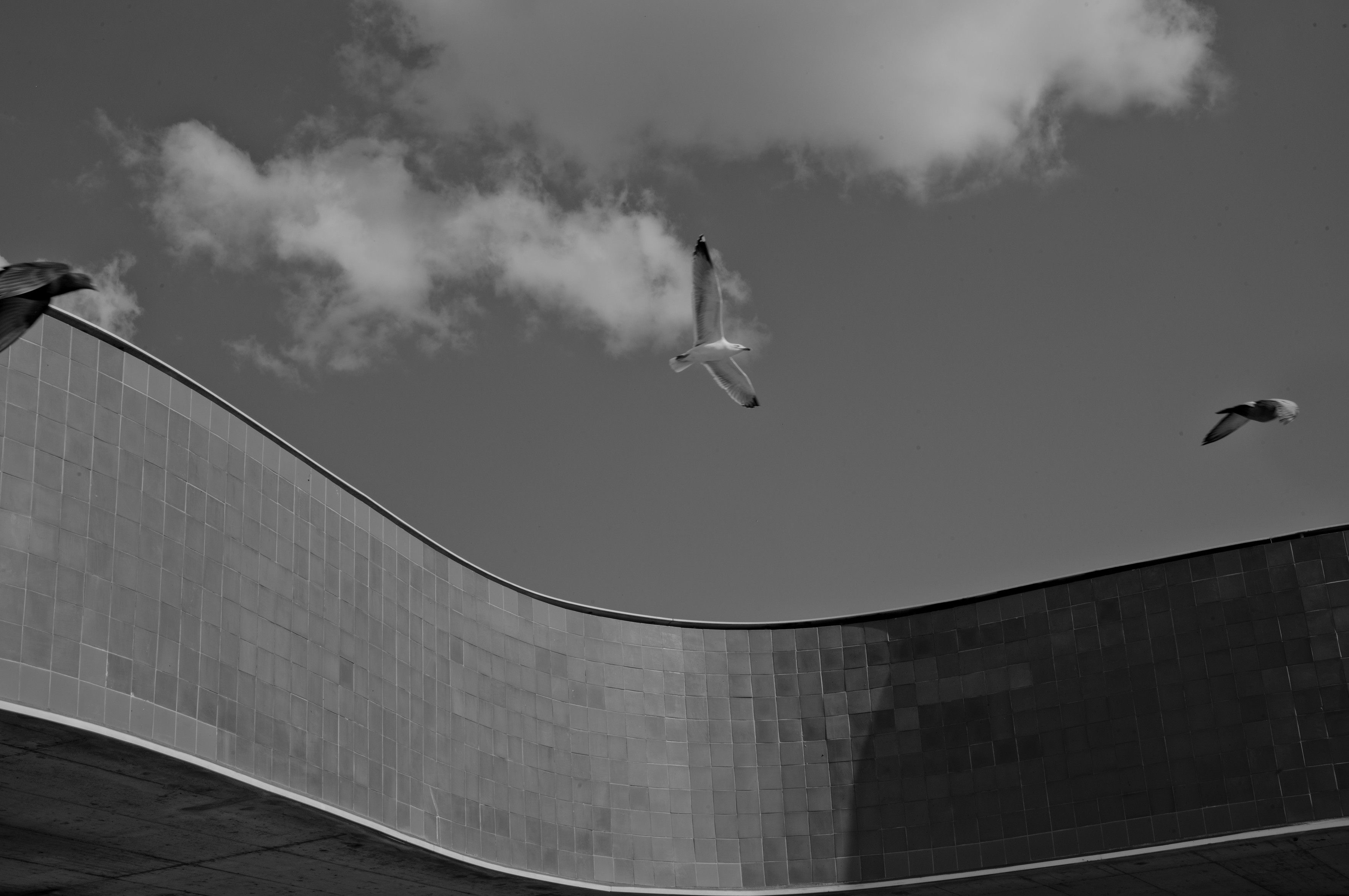 flow of life, Porto 2025