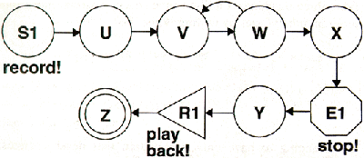 graph 13