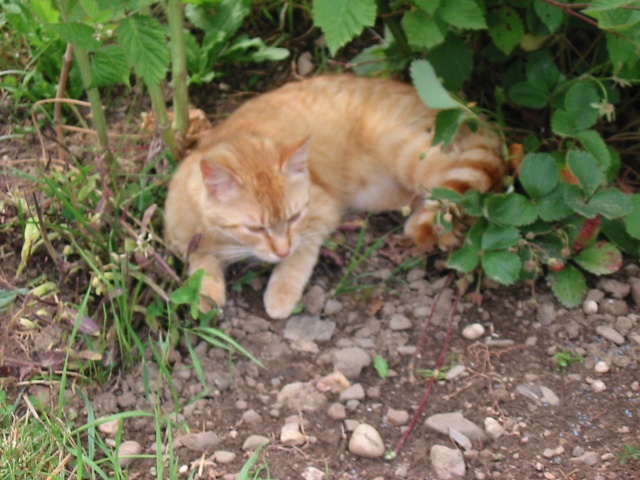 img 0883