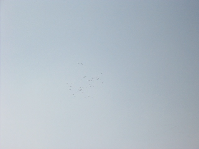 img 0311