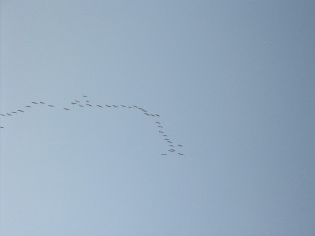 img 0316