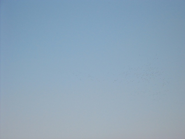 img 0331
