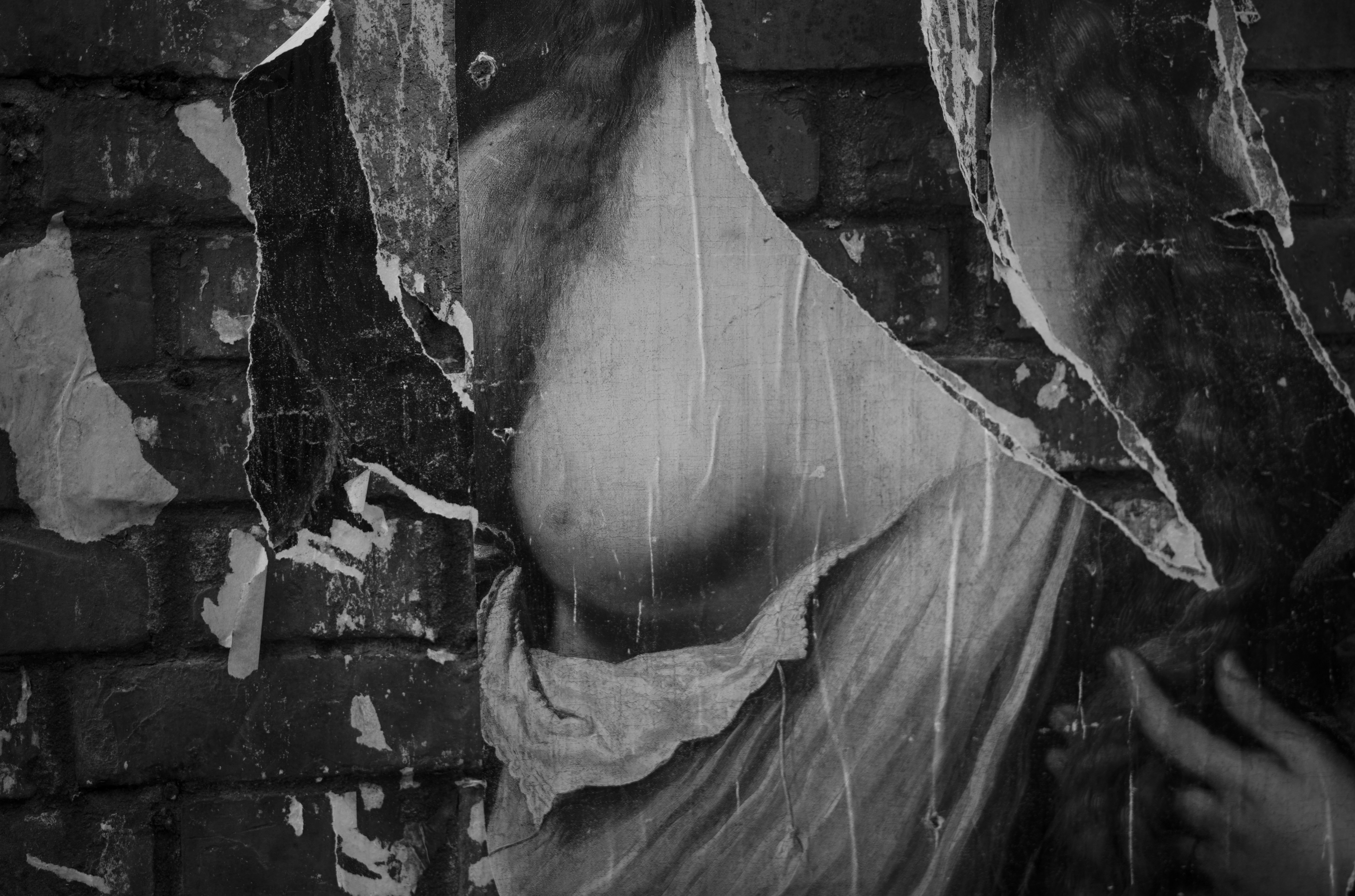 "Torn to life", Venice 2023